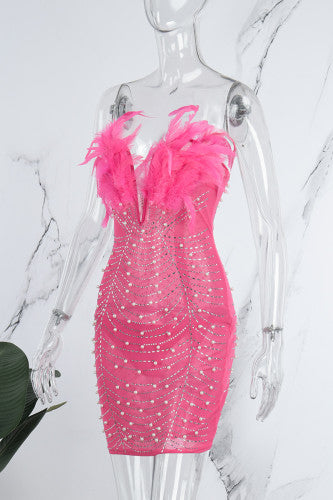 Women's I’m Obsessed Feather Dress