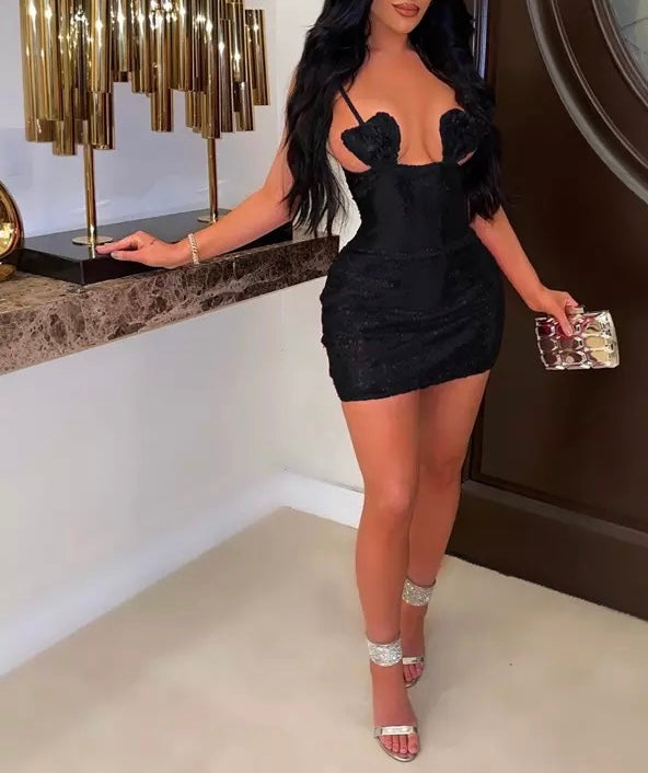 Women's Mini Sequin Dress (XLs Only)